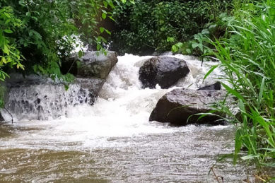 Exciting Natural Beauty - Review of Araku Resorts