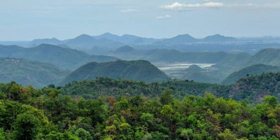 Welcome to Official Website of Araku Tourism